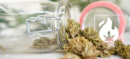 Så dekarboxylerar du din cannabis: 3 metoder
