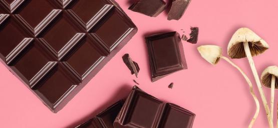Så gör du choklad med magiska svampar