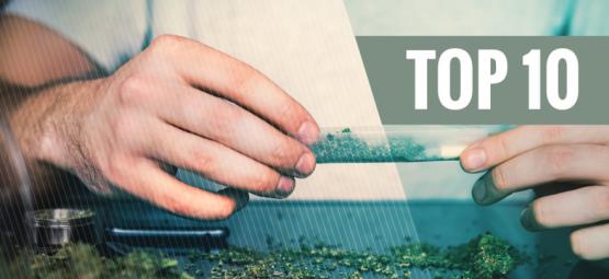 Topp 10 skäl att sluta med tobak och röka ren marijuana