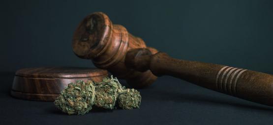 10 skäl till att alla droger bör legaliseras