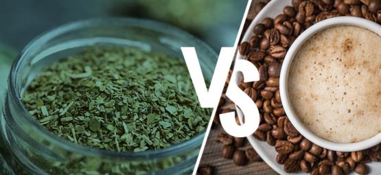 Yerba maté vs. kaffe: Borde du byta?
