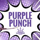 Purple Punch: Smak, styrka och sk&ouml;nhet &ndash; allt i ett