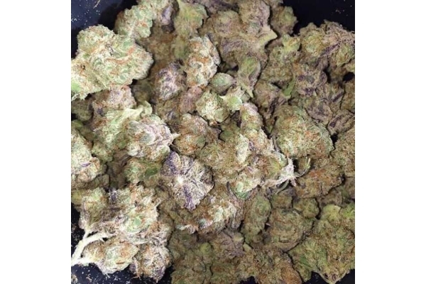 Blueberry Autoflower (Zamnesia Seeds) Feminiserade Blueberry Autoflower (Zamnesia Seeds) Feminiserade