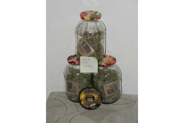 King's Kush Autoflower (Greenhouse Seeds) Feminiserade King's Kush Autoflower (Greenhouse Seeds) Feminiserade
